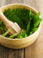 Pestle and mortar with green leaves