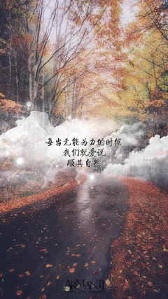 夜轻风呤采集到心悟