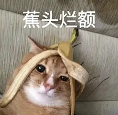 奇怪猫猫表情包 (7)