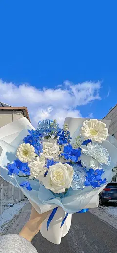 好看的手机壁纸增加了