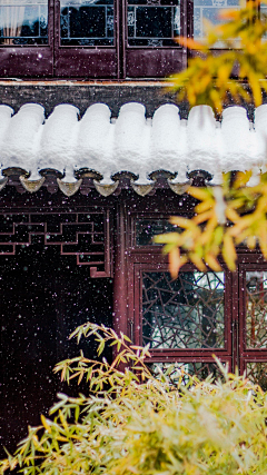 蓝色碎片采集到雪