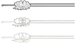当当阅读器 - 玉步摇——古风动漫人物CG绘画技法