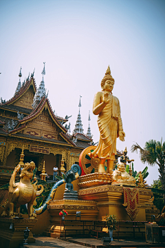 小鹅怎么叫采集到风景