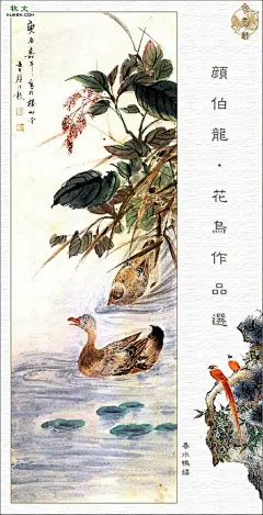 颜伯龙工笔花鸟画欣赏