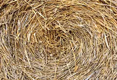 堆稻草，桁架稻草