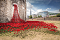 This stunning installation of 888,246 red ceramic poppies was created by ceramic artist Paul Cummins and stage designer Tom Piper in commemoration of the centennial of Britain’s involvement in World War I. Entitled Blood Swept Lands and Seas of Red, each 