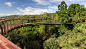 园林景观网-南非：“非洲树蛇”桥-景观建筑