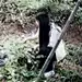 静%嘉
