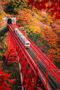 明信片般的场景 日本黑部峡谷枫叶列车 - 小红书