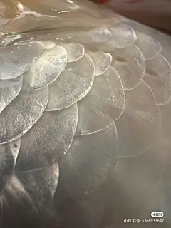 材质-鳞片图片大全-材质-鳞片高清好看的图片--花瓣FDY在摸条大鱼的画板