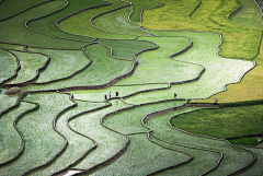 缺角的冰采集到场景