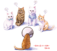 无敌云朵姑娘采集到毛星人