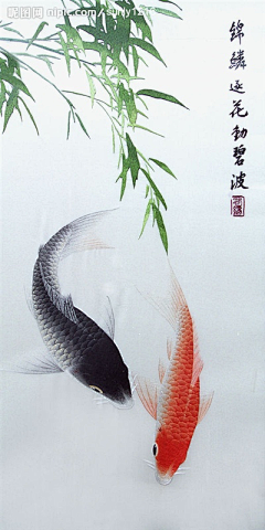 乔夏采集到萌宠物