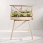 Atelier 2+ designs miniature greenhouse for indoor gardeners
