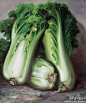 中国书画艺术：忻东旺 2002年作 《白菜》 油彩 布面