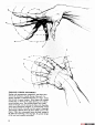 [手部参考]_绝版--经典--手的画法 - 参考资料资源区 - DOGAME游戏兵工厂论坛 游戏媒体|游戏美术|游戏开发者|游戏技术|游戏开发者交流社区