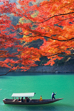 小匹特菲特采集到风景