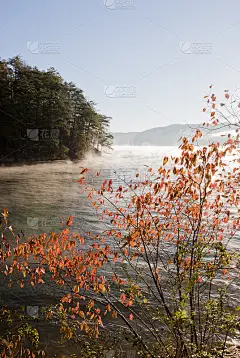 雾在山上的湖在秋天，秋天