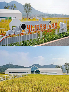 小刘同学612采集到XM  乡建