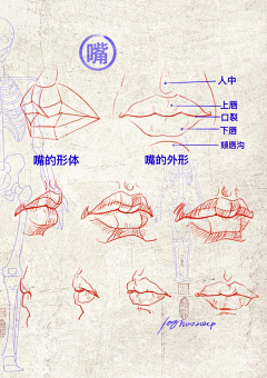集荣师兄采集到五官-表情