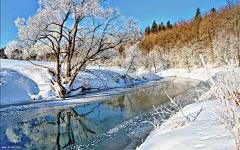 NumenAkon采集到下雪了，不打伞是不是就可以一起走到白首