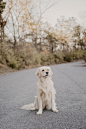 HD photo by Josh Muller (@joshmuller) on Unsplash : Download this photo by Josh Muller (@joshmuller)