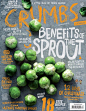 Crumbs 杂志 封面设计。 ​​​​