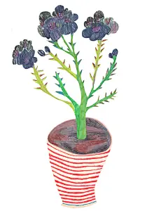 【植物插画系列图集下载】创意叶子草本花卉绘本绘画