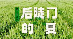 word神采集到种地