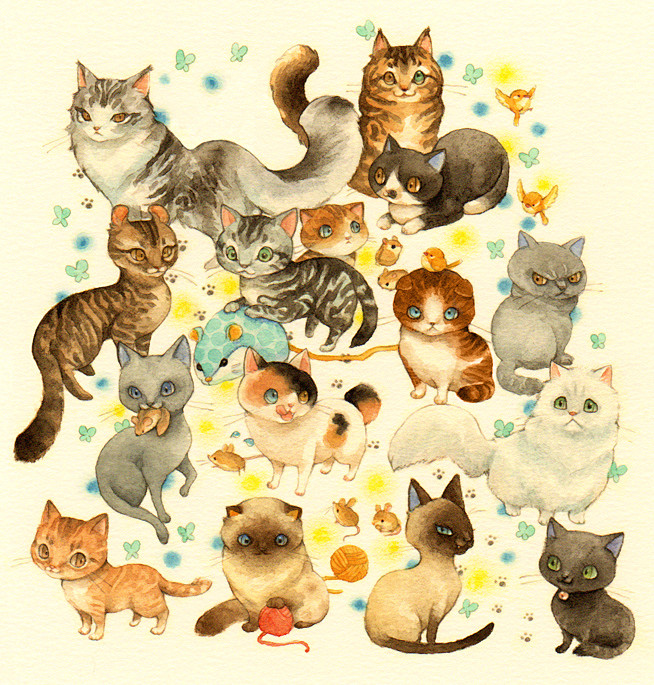 昨夜，猫咪在我的怀里死去。今天我觉得身体...