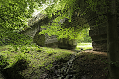 MANJ_WU采集到场景+植物s