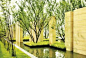Cicada Landscape Book 025.jpg