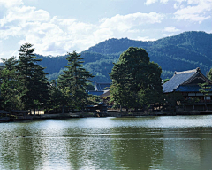 来日暴瘦采集到自然风景