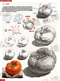 茉莉(°꒳°)采集到素描