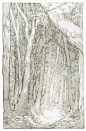 forest by Memipong.deviantart.com on @DeviantArt