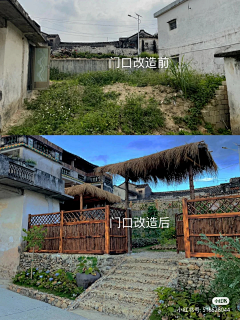多闻草木少识人采集到庭院