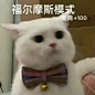 有没有让人一看就忍不住笑的表情包？ - 知乎