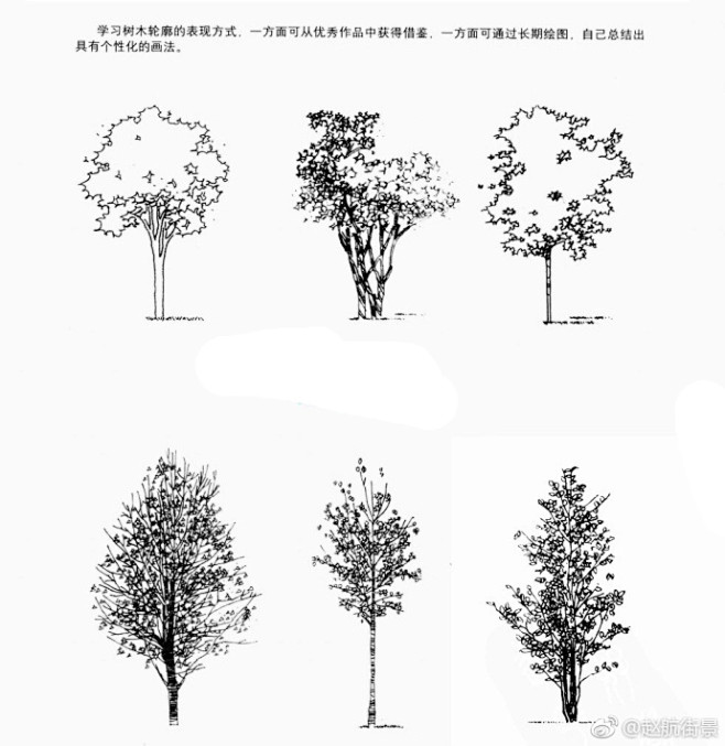 一些树的表现画法!  （画师:@赵航街景...