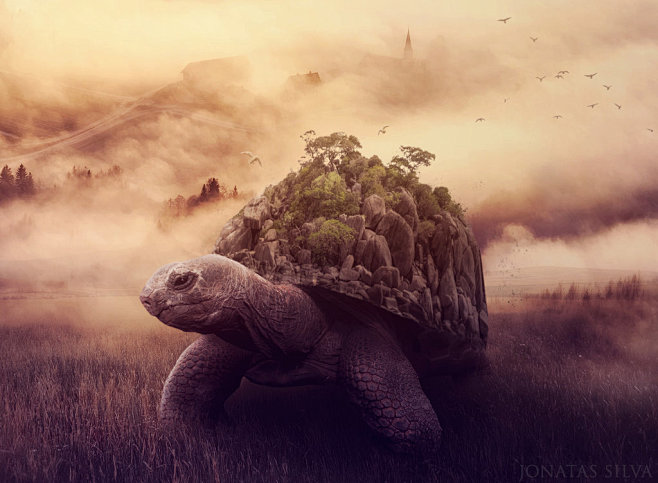 The Big Turtle by Jo...