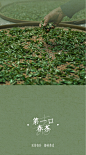 速来！阿喜带你去茶园免费旅行～