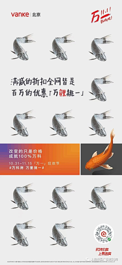如鱼得水1+2采集到003 图文海报