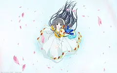奇迹少女小鸠 安卓高清平板壁纸推荐