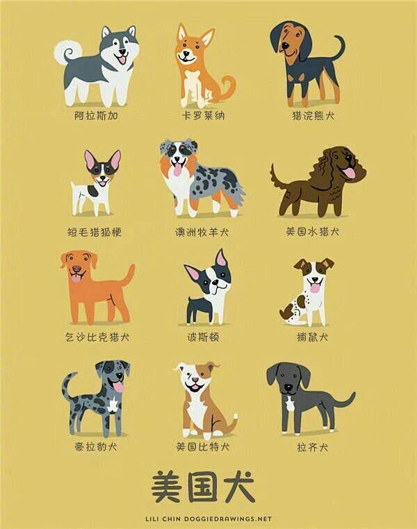 常见犬种及分布