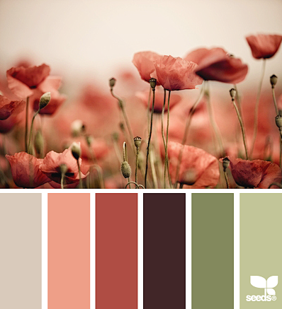 poppy tones