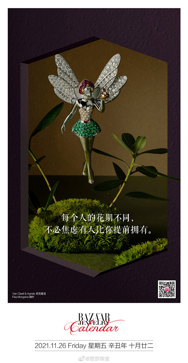 每个人的花期不同，不必焦虑有人比你提前拥有。
