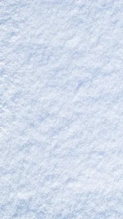 背景