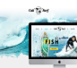 Cali Surf Shop : Website UI / UX and logo / branding designed for Cali Surf Shop that was Established in 1992 and has every aspect of beach life covered. The selection of leading brands, hardware designs and apparel make this choice of items unbeatable. T