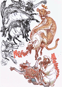 末日狂欢猫采集到金政基