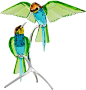 Bee-eaters, Peridot