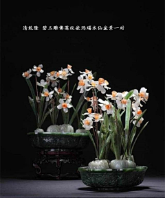 快乐永恒happy采集到花